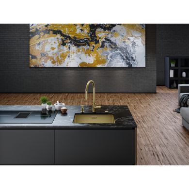 Кухонна мийка Franke BXM 210/110-50,(127.0662.540) F-Inox (PVD+Nano) Золото